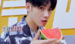 吃瓜娱乐圈任豪是谁啊,娱乐圈新晋“瓜王”的崛起之路